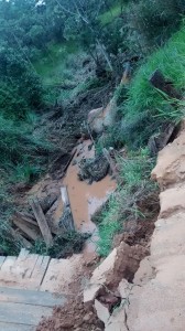 ponte herculândia 1