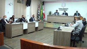 Plenário da Câmara Municipal de Adamantina, durante a sessão ordinária (Reprodução/Câmara Municipal).