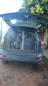 HERCULANDIA-ORDEM-2-169x300 POLÍCIA TENTA RESTITUIR A ORDEM EM HERCULÂNDIA