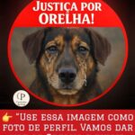 CIRLEI-FARIA-150x150 Do Orelha de SC ao Takeo de SP